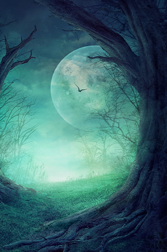 Default book cover image, oops the author must have forgot to load one, but this picture depicts a full moon, an owl flying in the distance, as seen from the perspective of someone standing next to a tree.