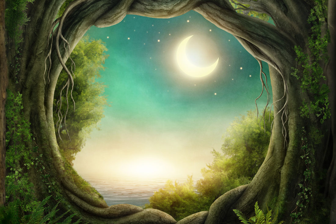 An image of a moon, as seen through a patch of trees that form a circular frame.